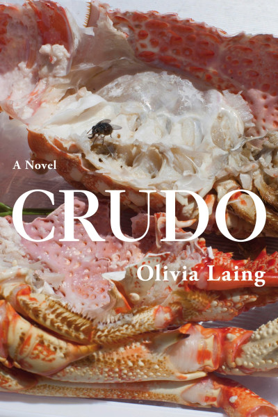 Crudo by Olivia Laing.