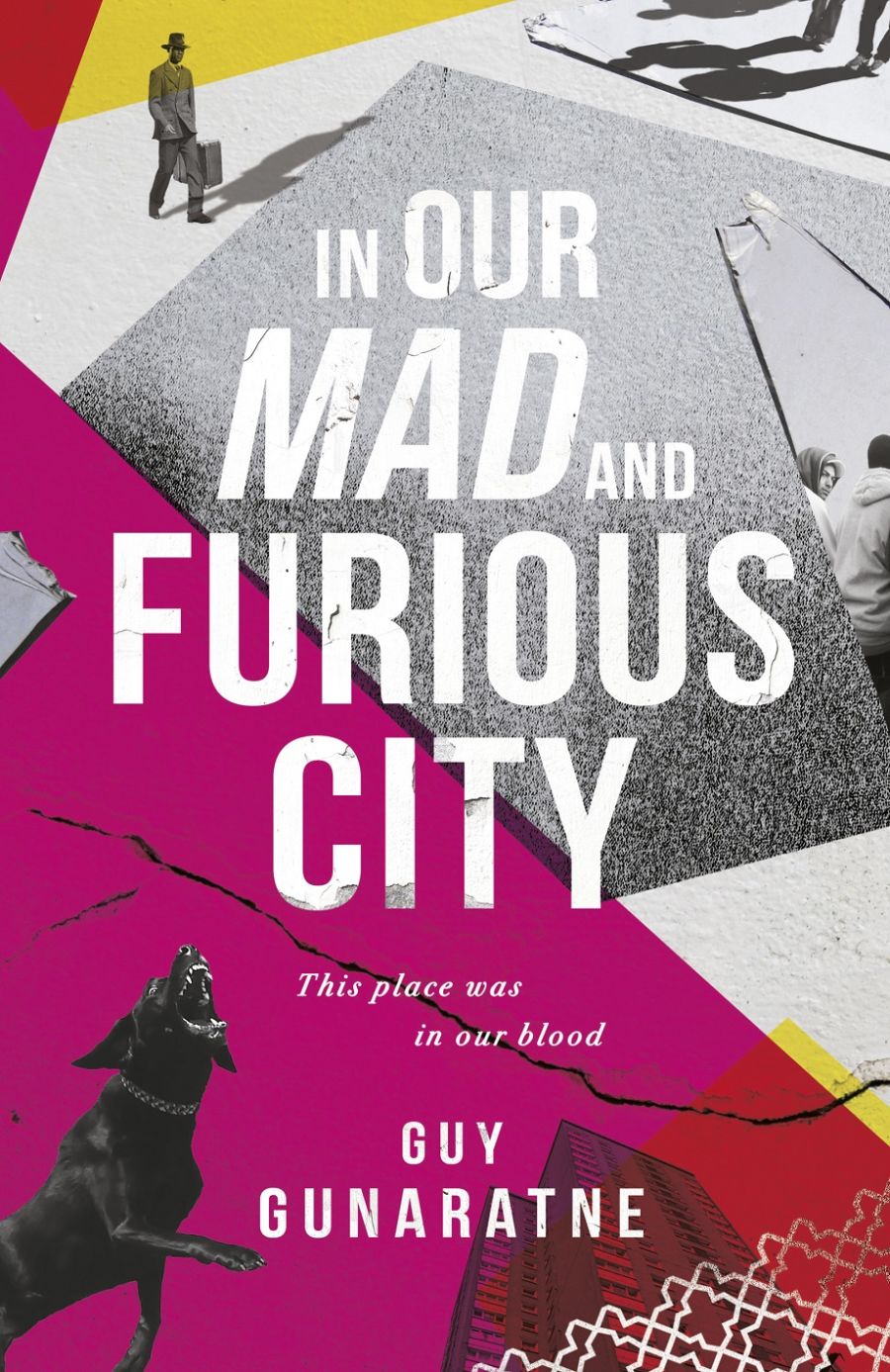 book cover: In our mad and furious city, by Guy Gunaratne.