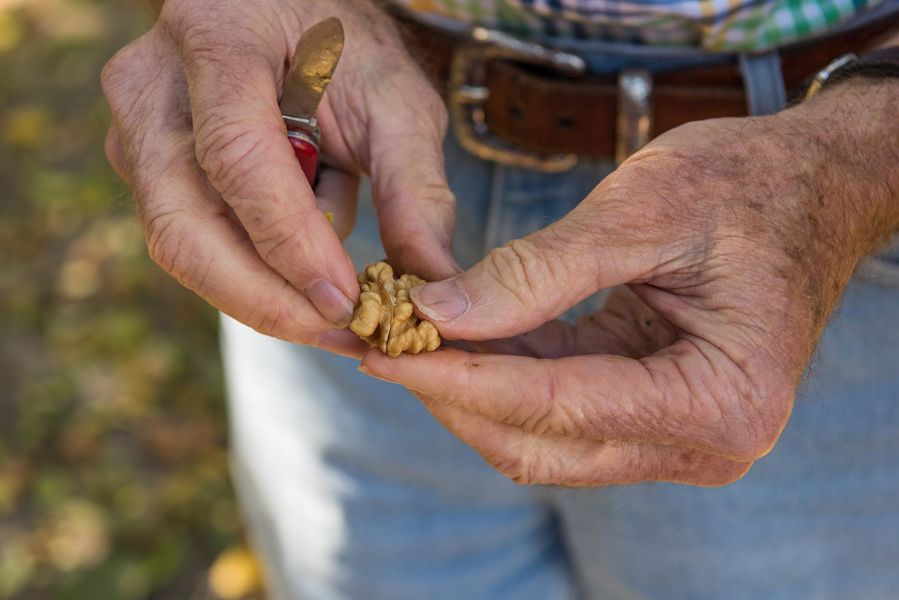 california-walnuts.