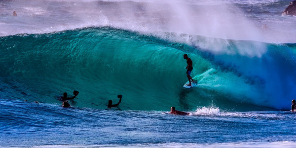 A group of surfers in the curl of wave.