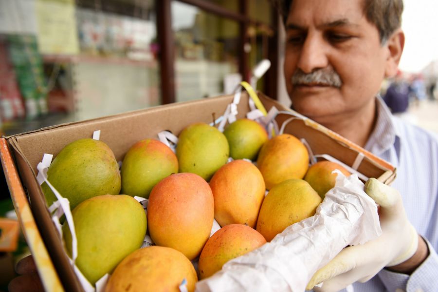 Man holding box of mangoes.