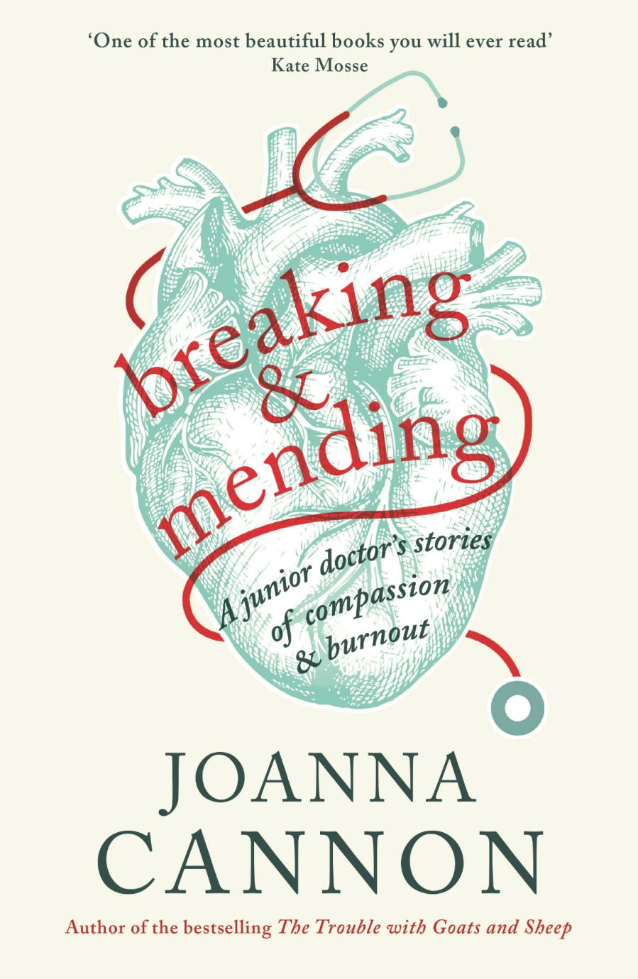 book cover of Breaking & Mending, by Joanna Cannon.