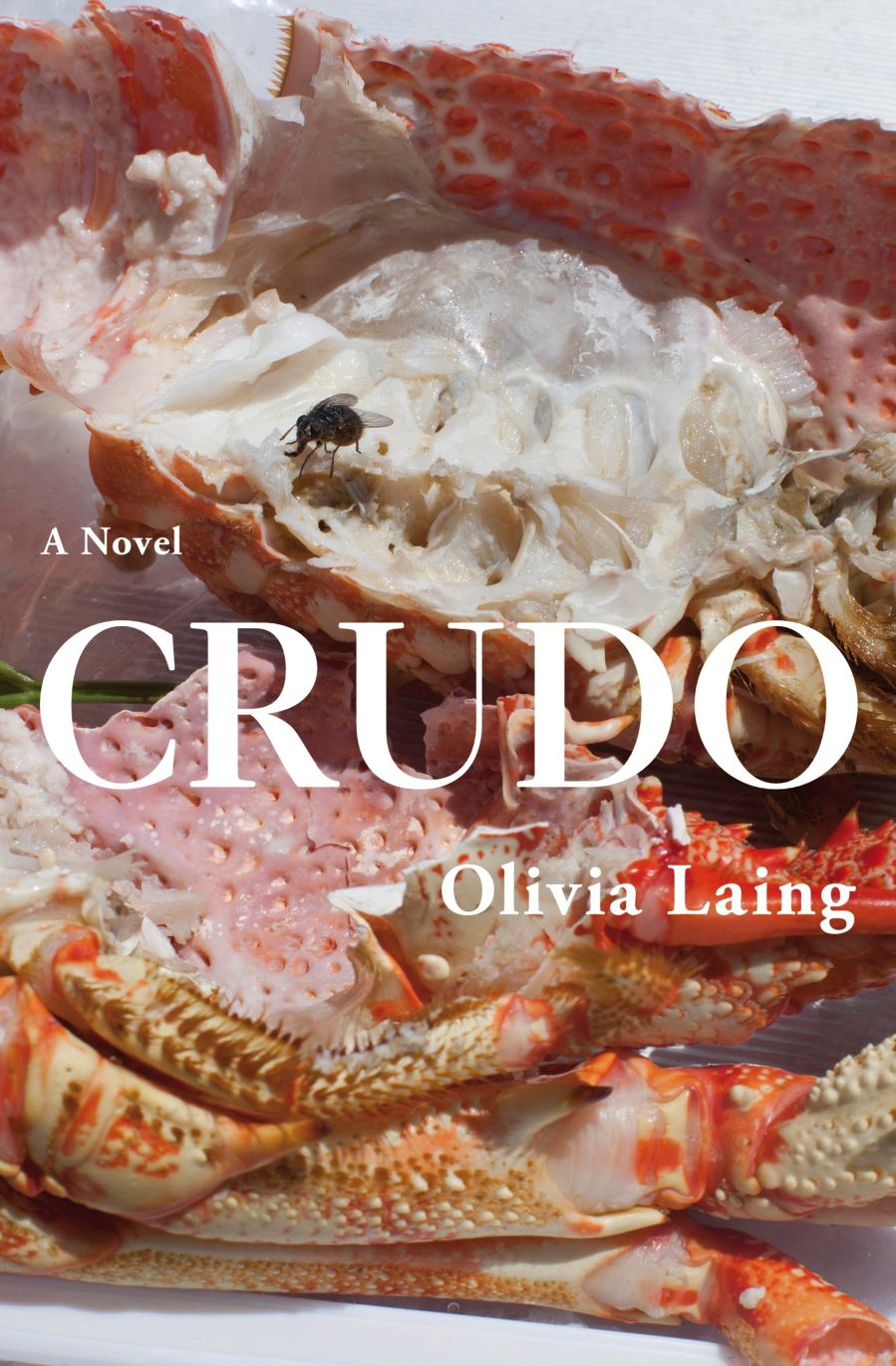 Crudo by Olivia Laing.