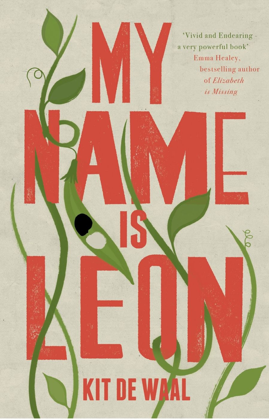 Book cover of My Name Is Leon by Kit de Waal.