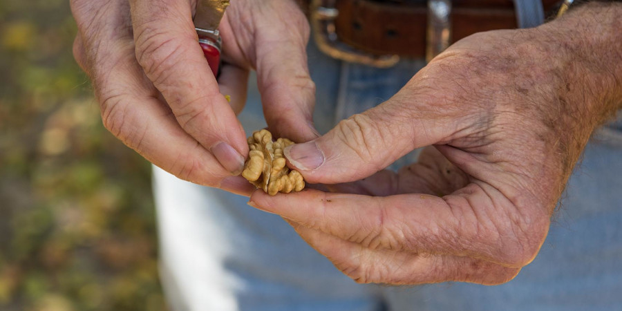 california-walnuts.