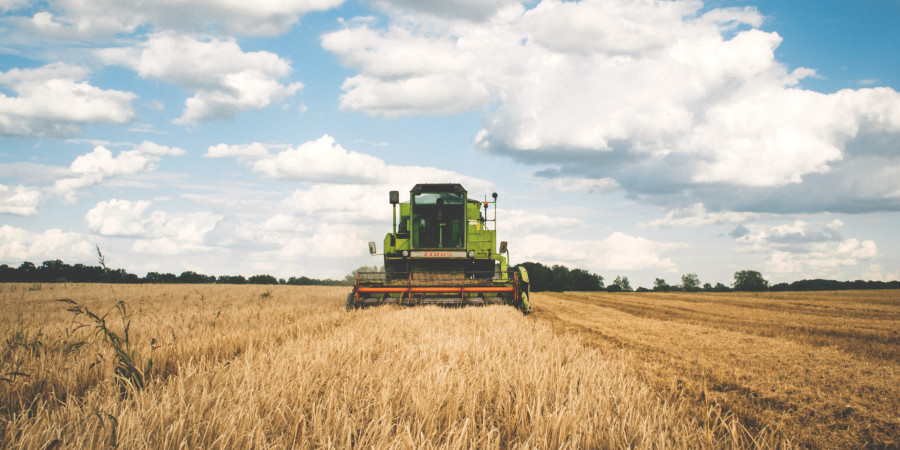 A green combine harvester in a field of wheat driving directly at the photographer.