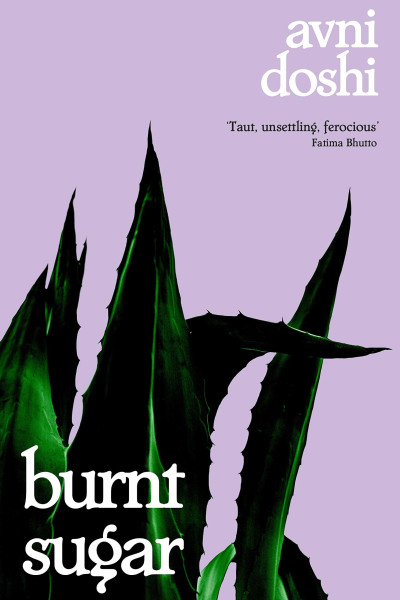 purple book cover with dark green succulent plant leaves..