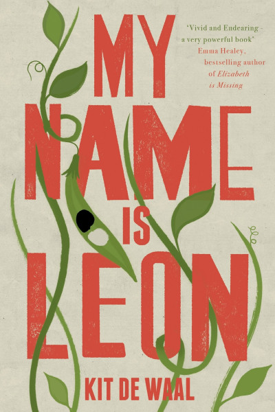 Book cover of My Name Is Leon by Kit de Waal.