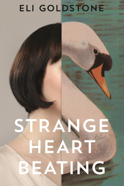Strange-heart-beating-by-eli-goldstone.